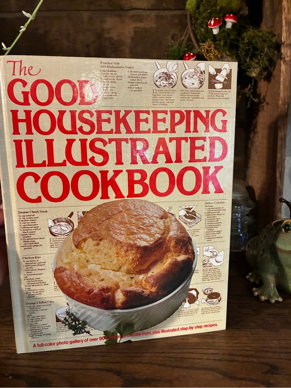 The Illustrated Cookbook - Cream Cover